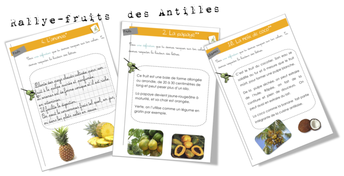 Rallye copie légumes et fruits des Antilles