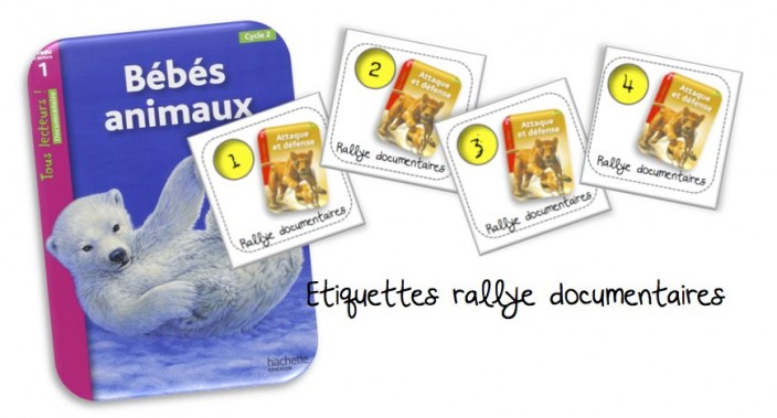 Rallye-lecture documentaires Hachette | Bout de Gomme